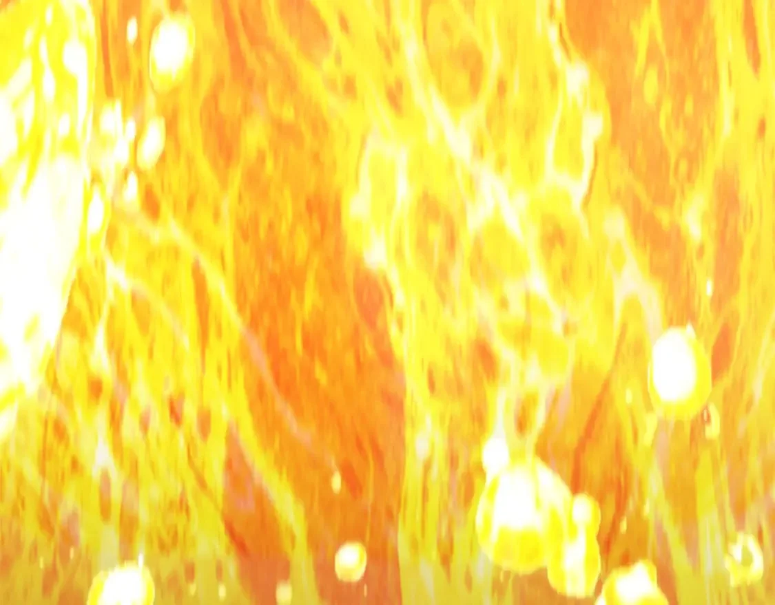 第504页