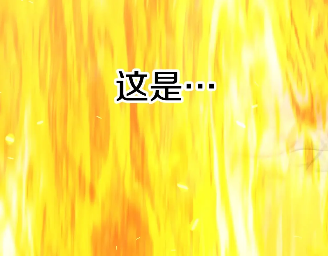 第315页