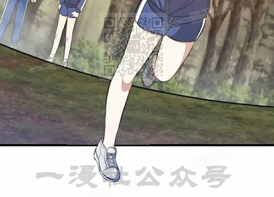 第528页