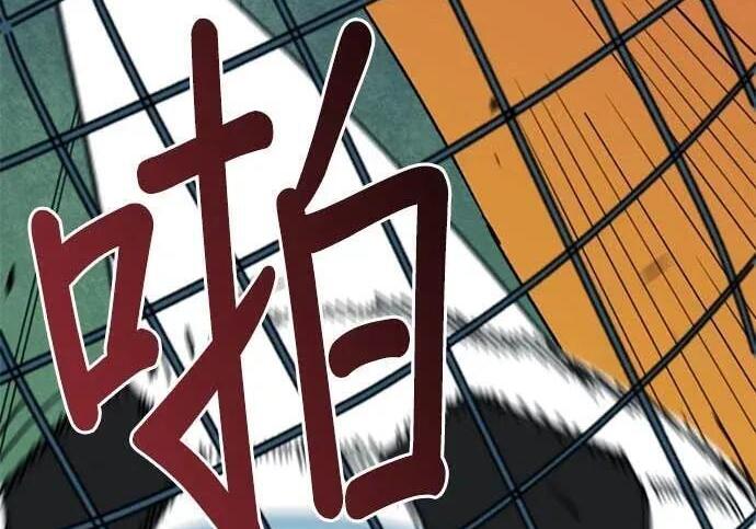 第234页