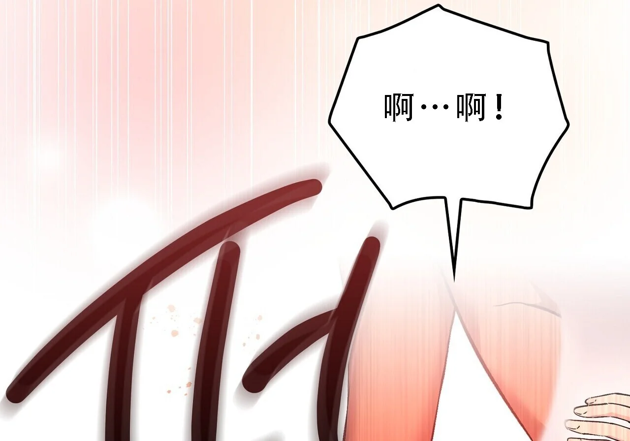 第567页