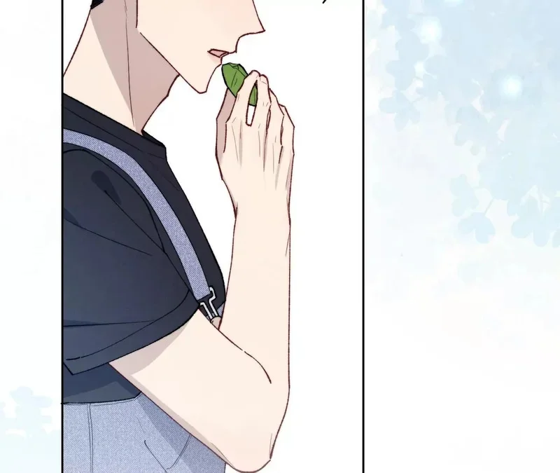 第255页