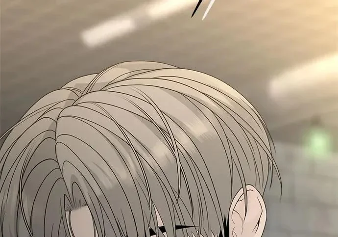 第531页