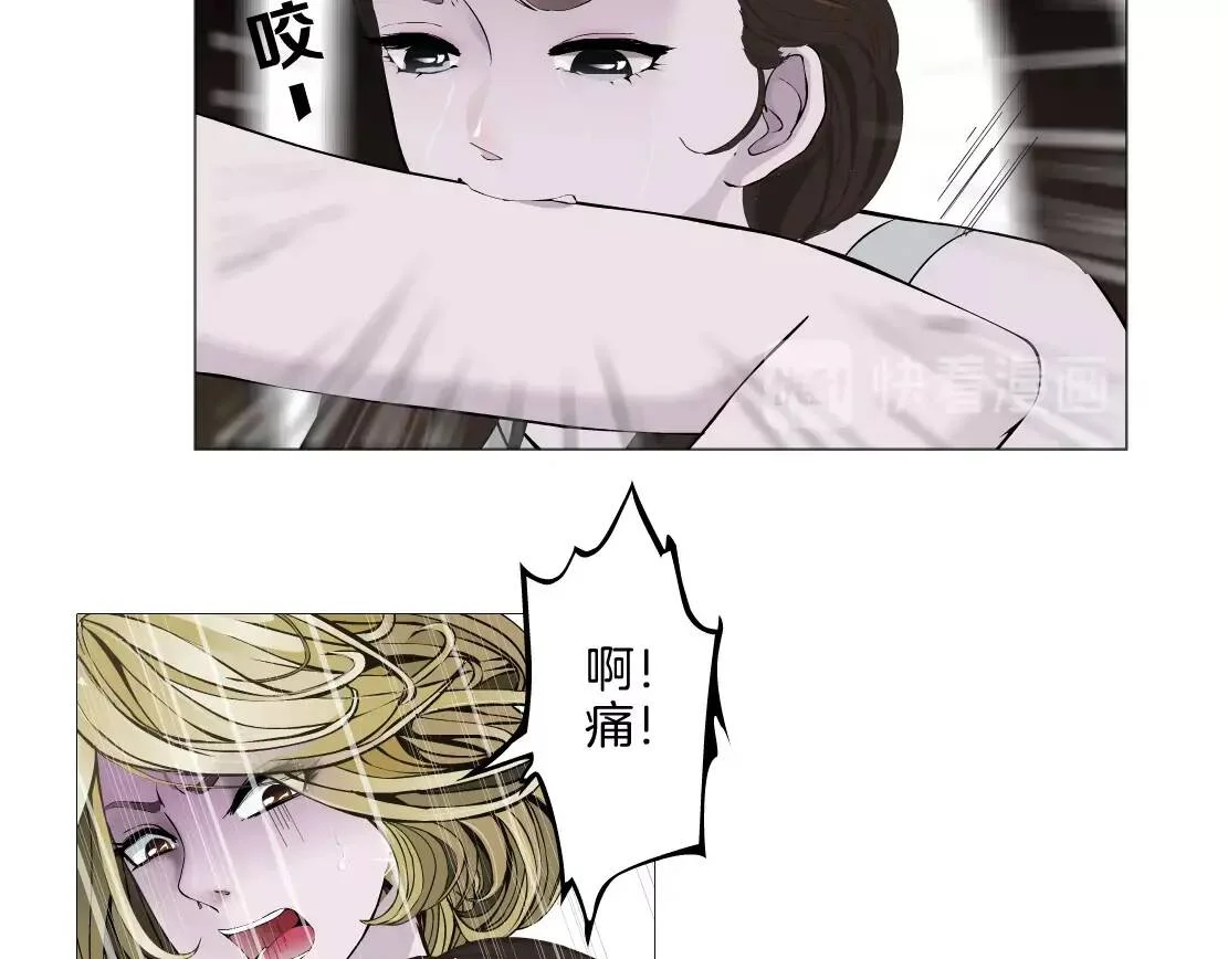 第282页