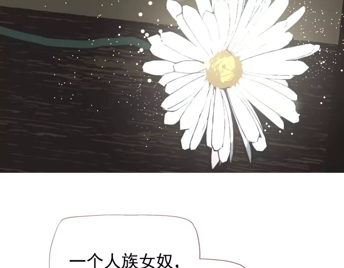 第564页