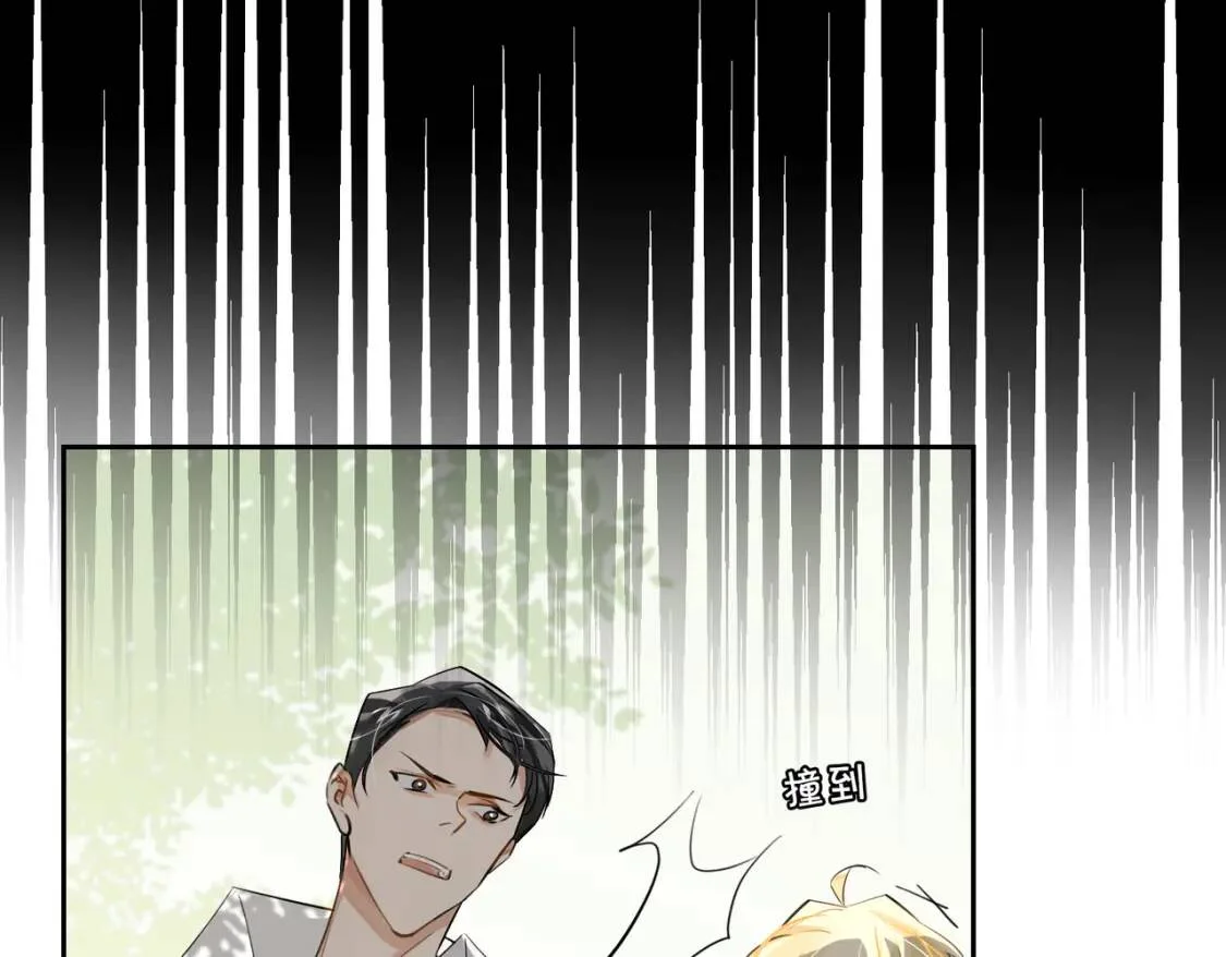 第228页