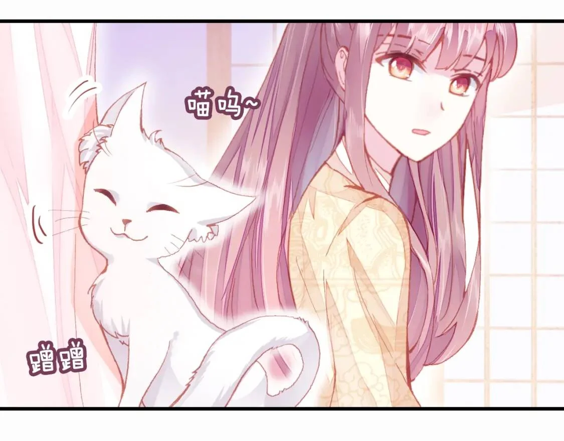 第243页
