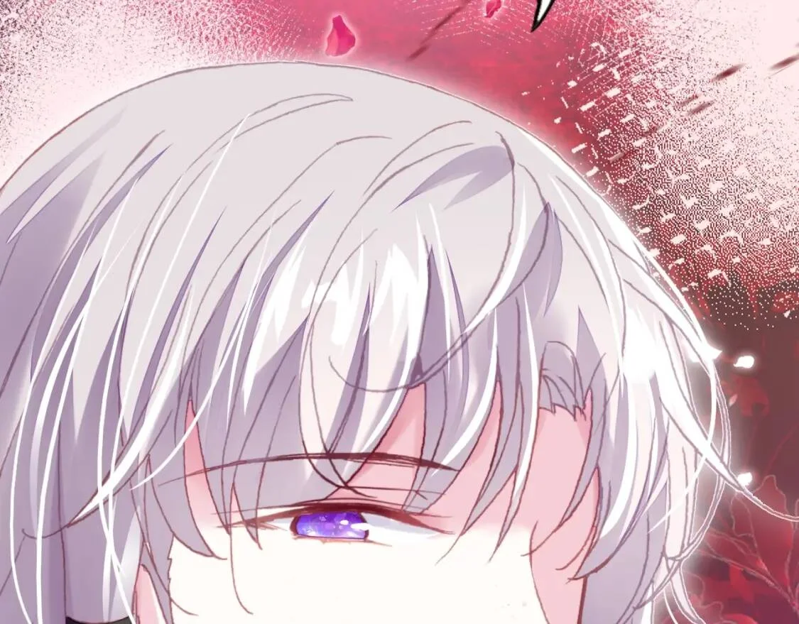第282页