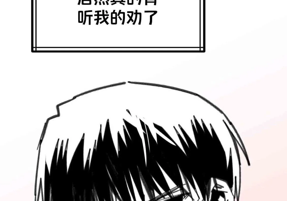 第240页