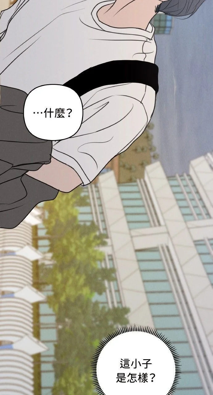 第231页