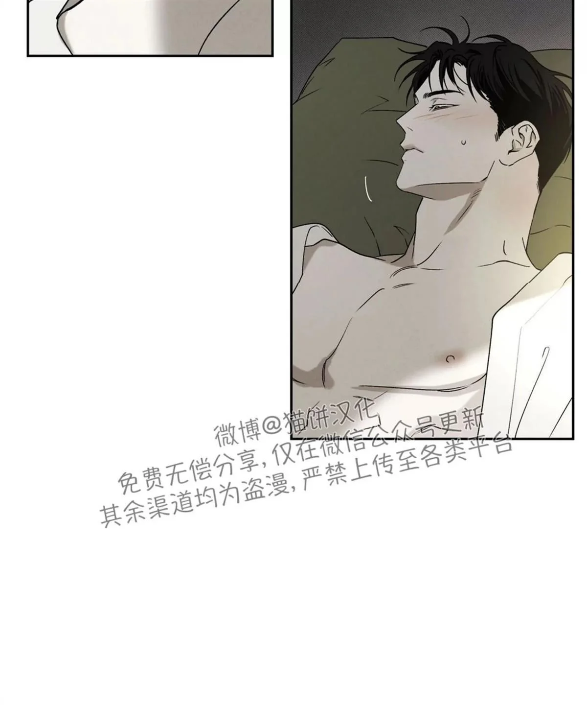 第321页