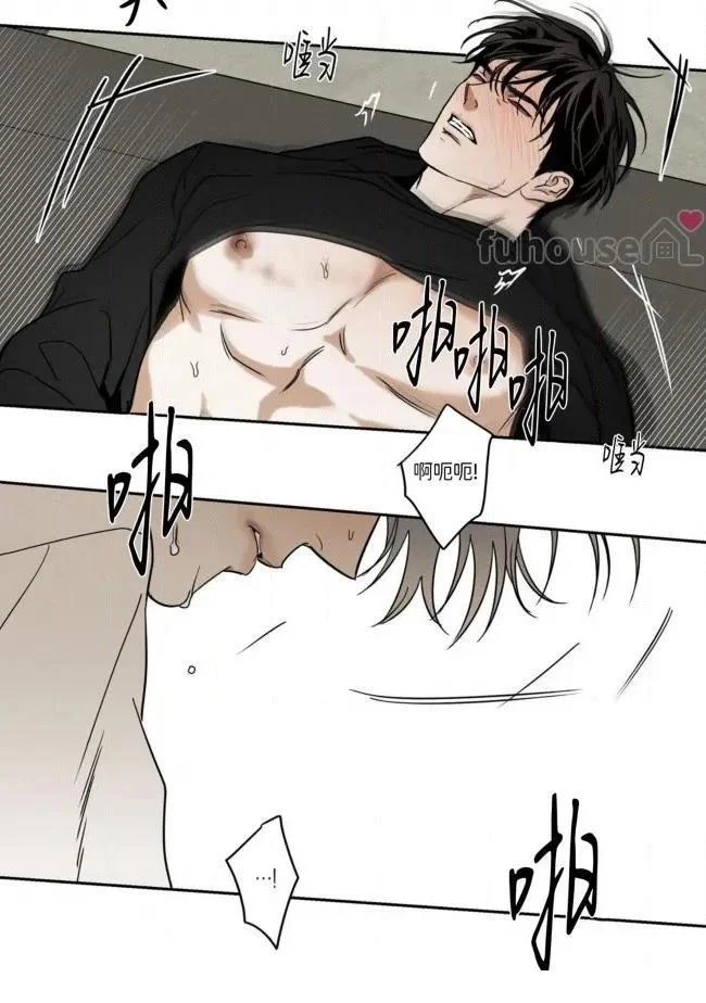 第243页