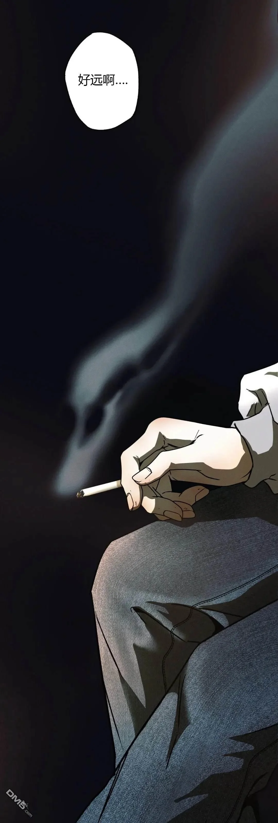 第207页