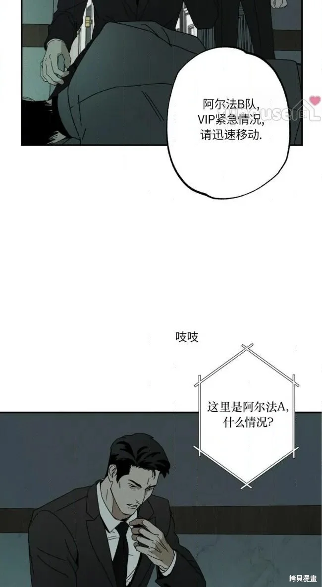 第207页