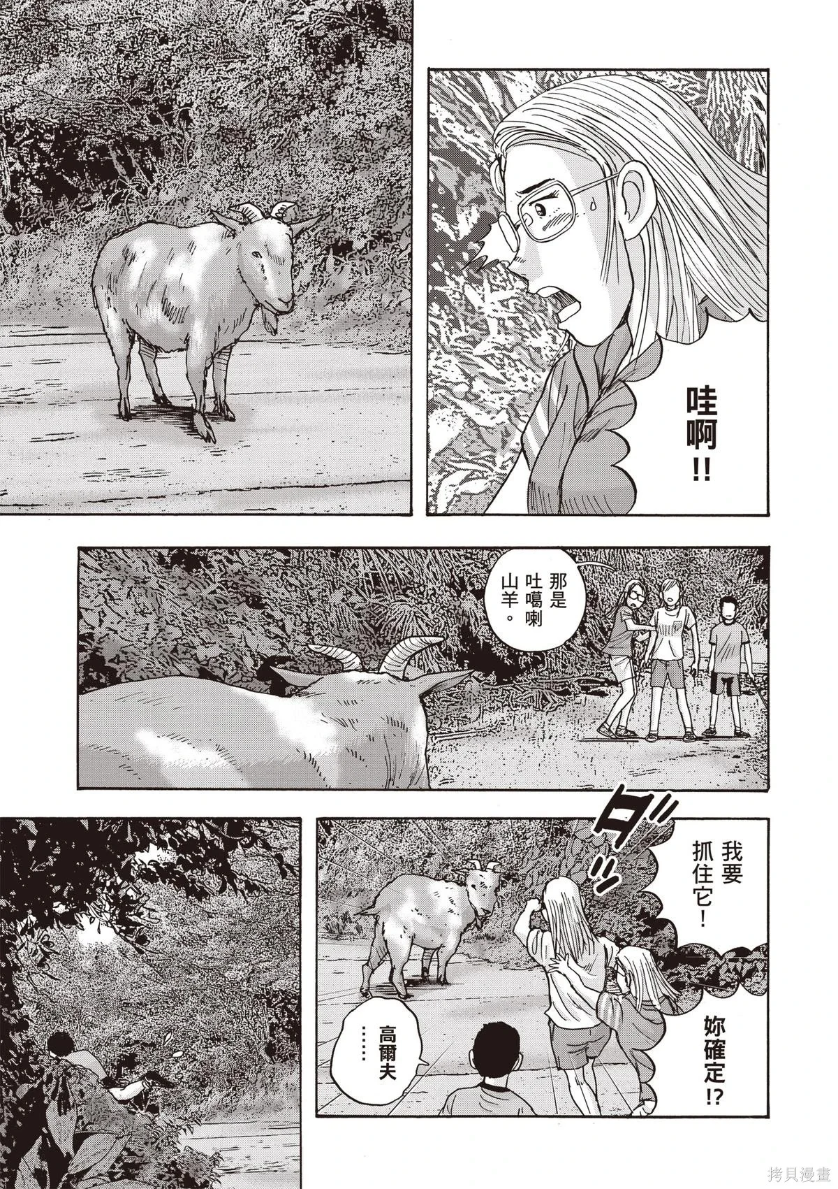 第204页