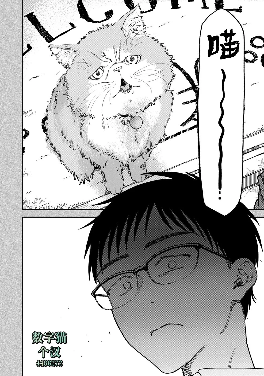 第219页