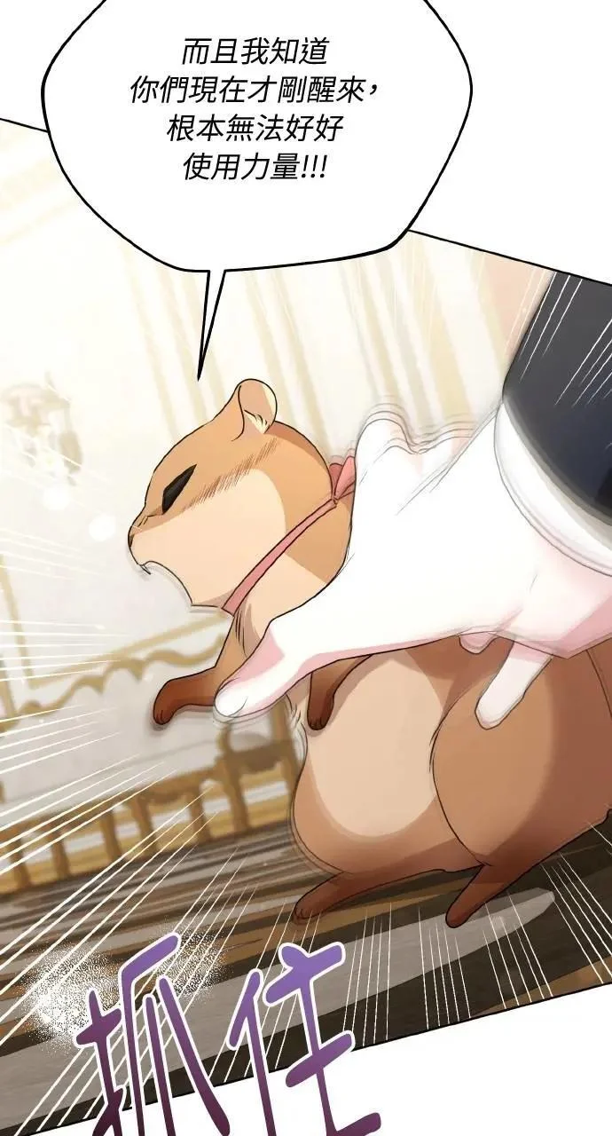 第219页