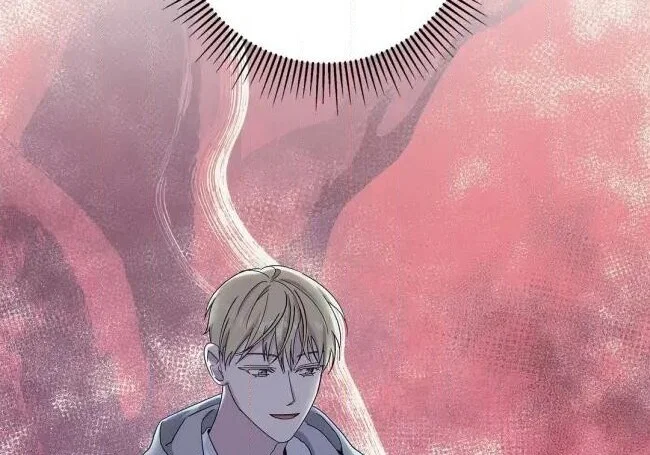 第531页