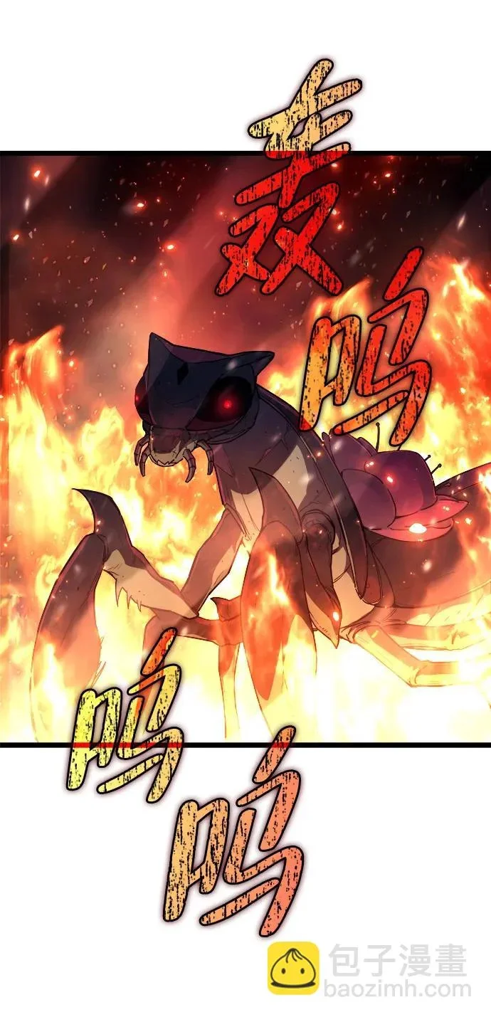 第429页