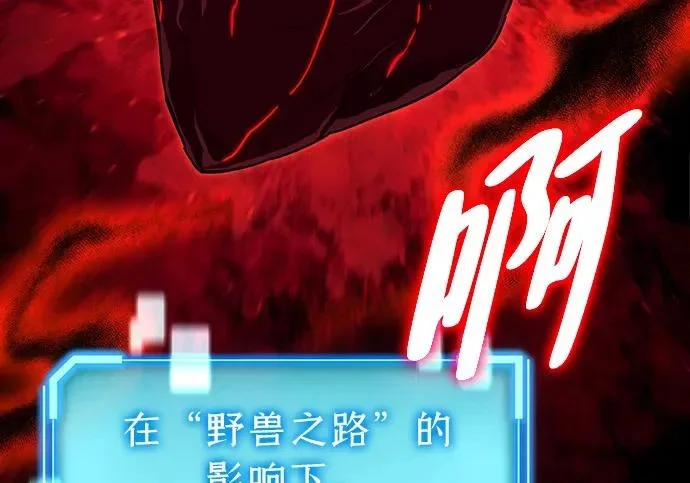 第207页