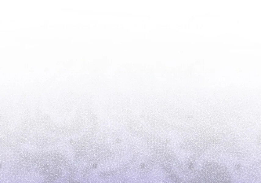 第519页