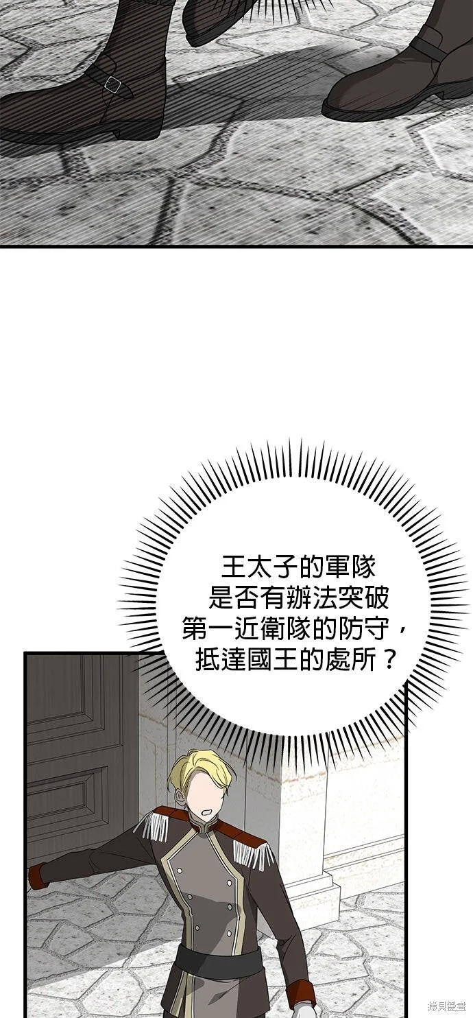 第231页