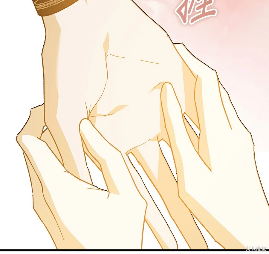 第516页