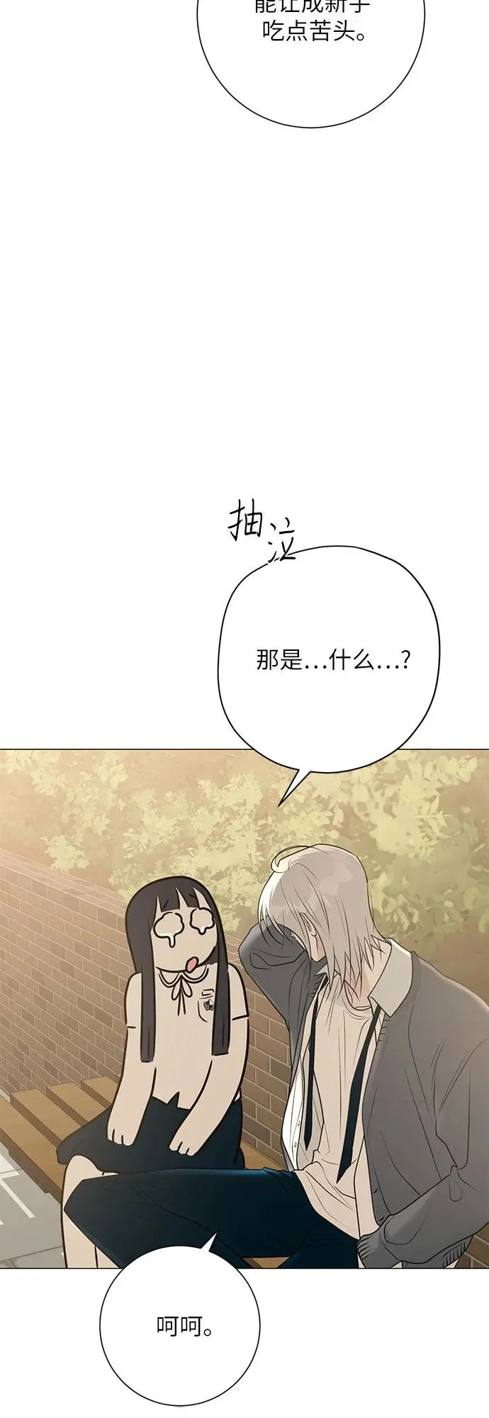 第204页