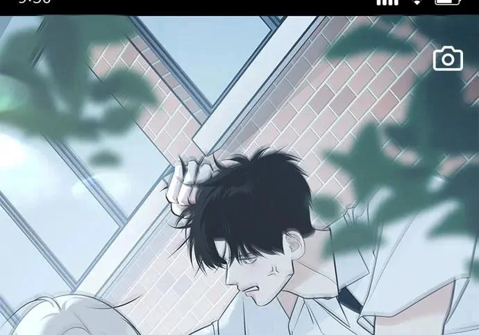 第243页