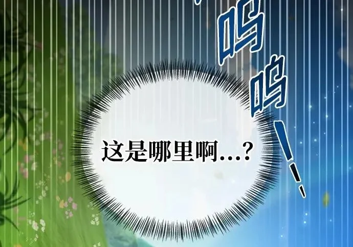 第243页