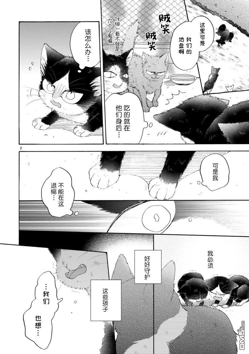 第75页