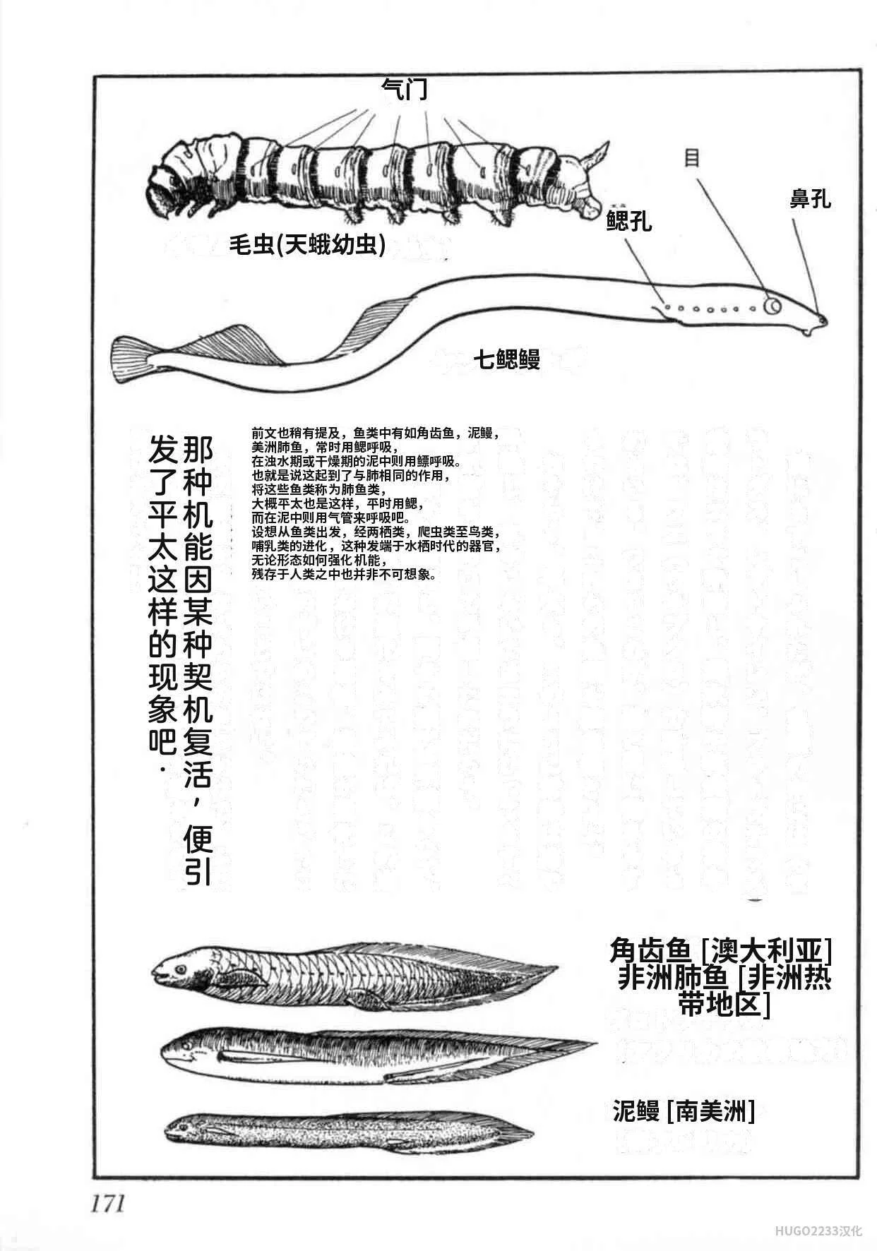 第528页
