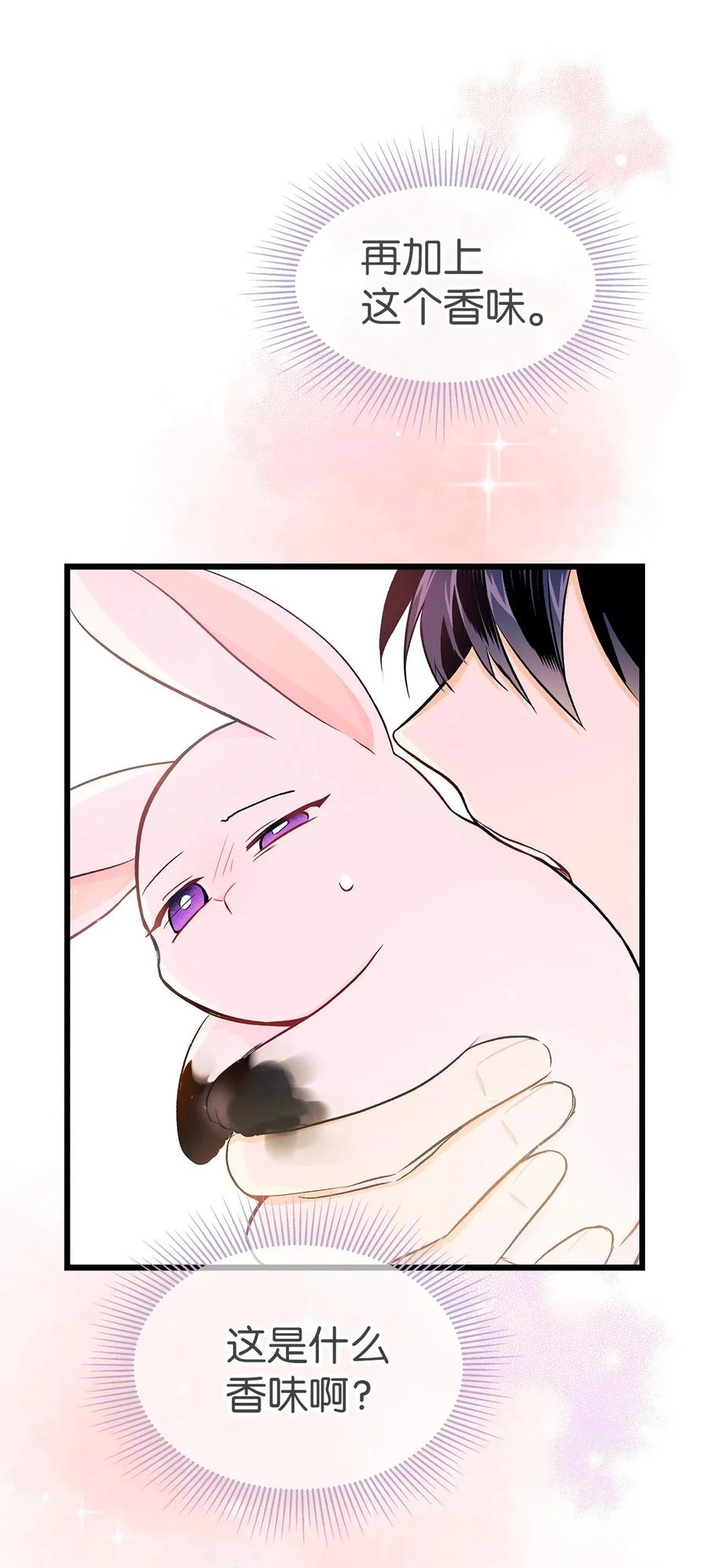 第216页