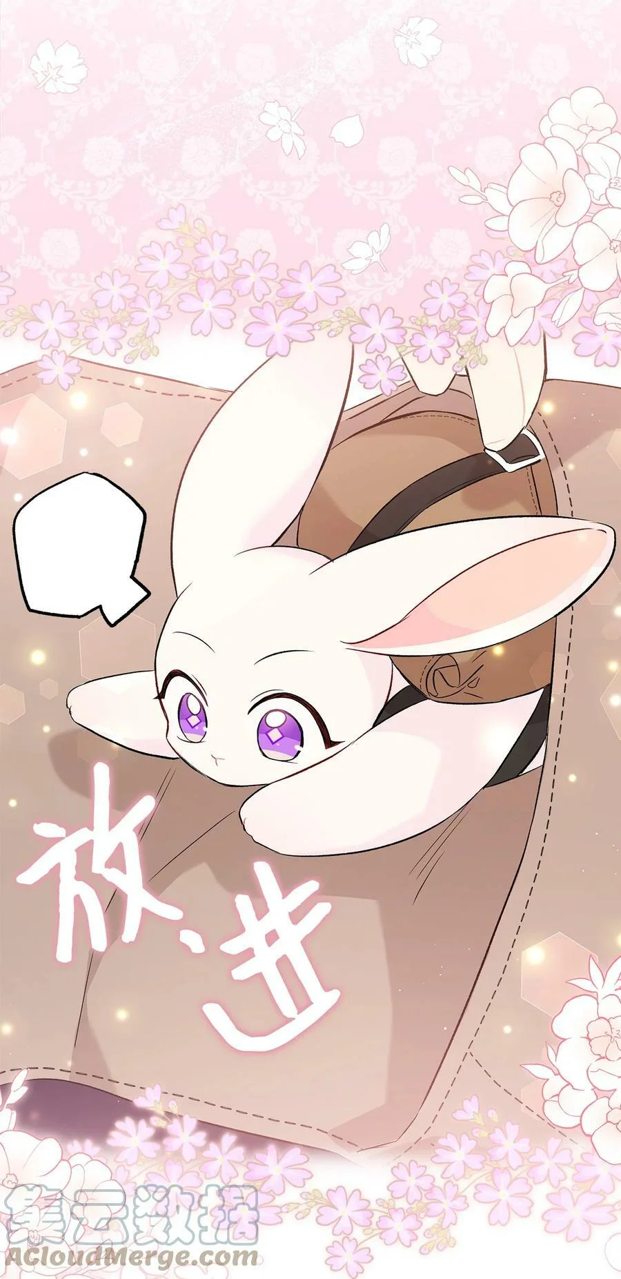第225页