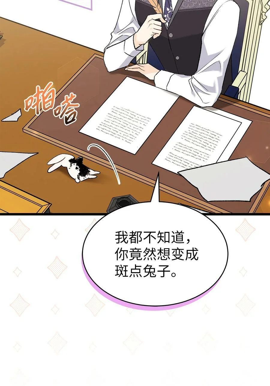 第231页