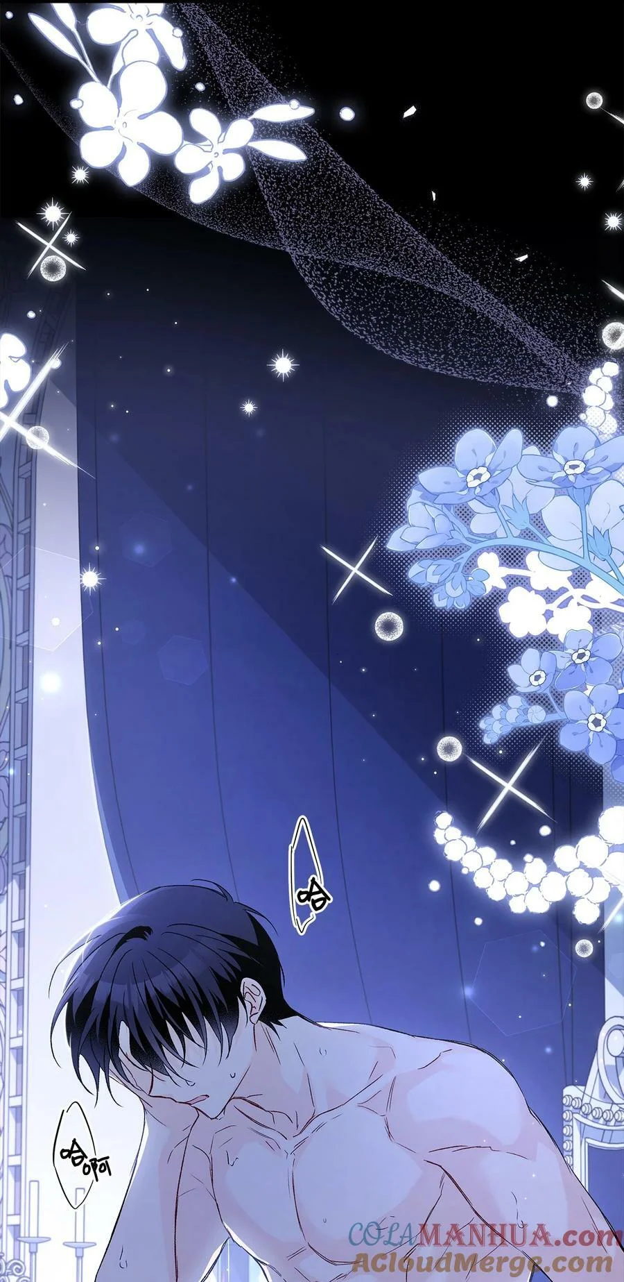 第243页