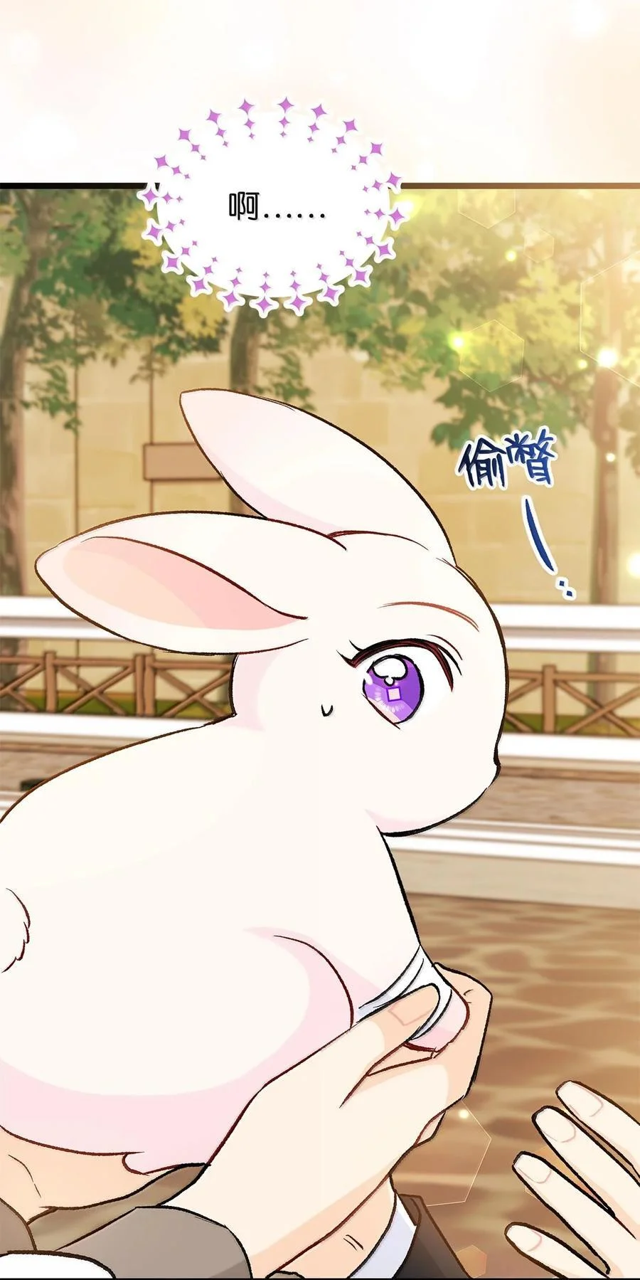 第255页
