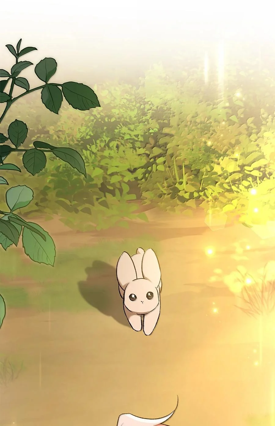 第231页