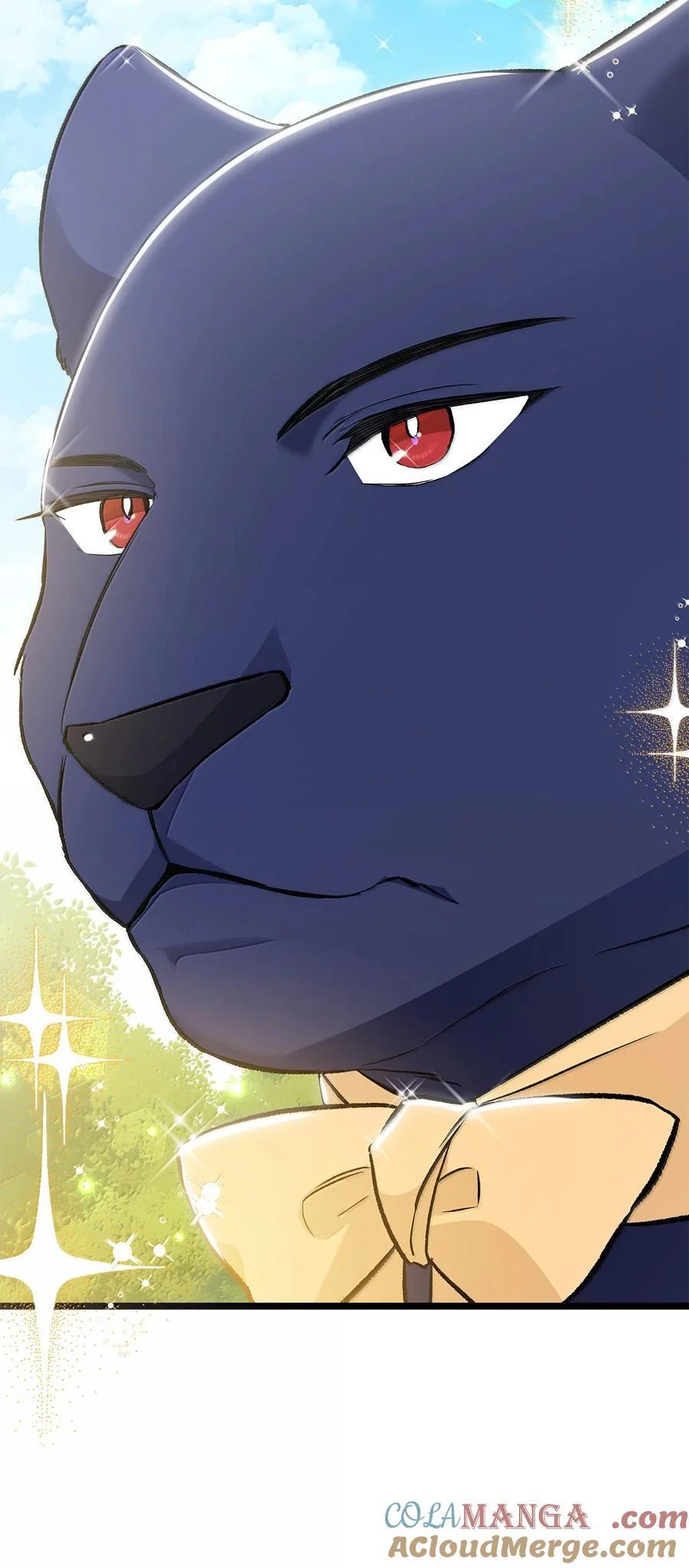 第216页