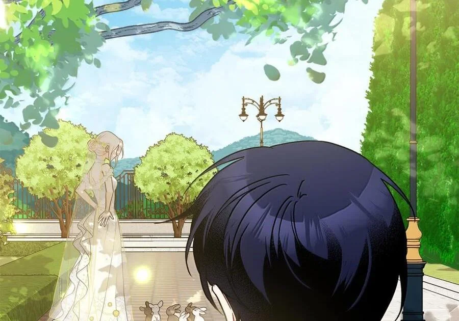 第240页