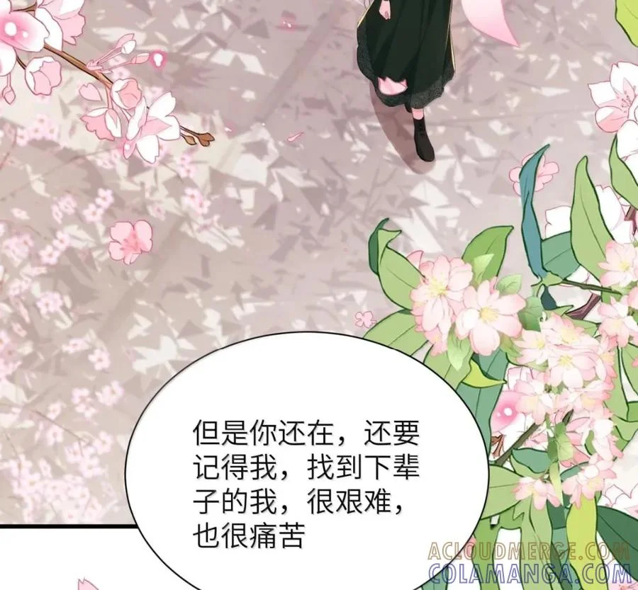 第243页