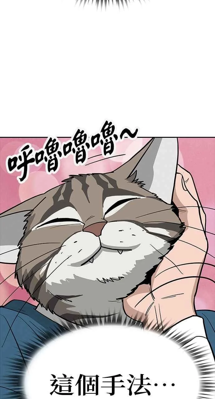 第255页