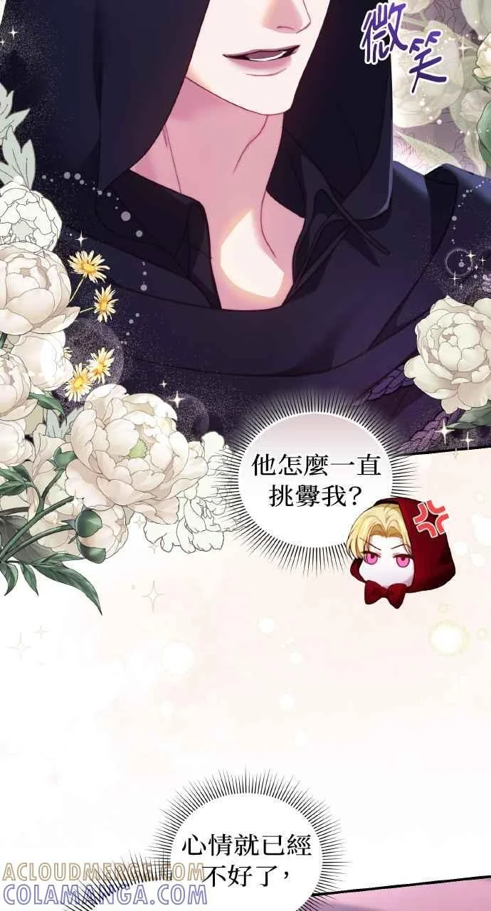 第204页