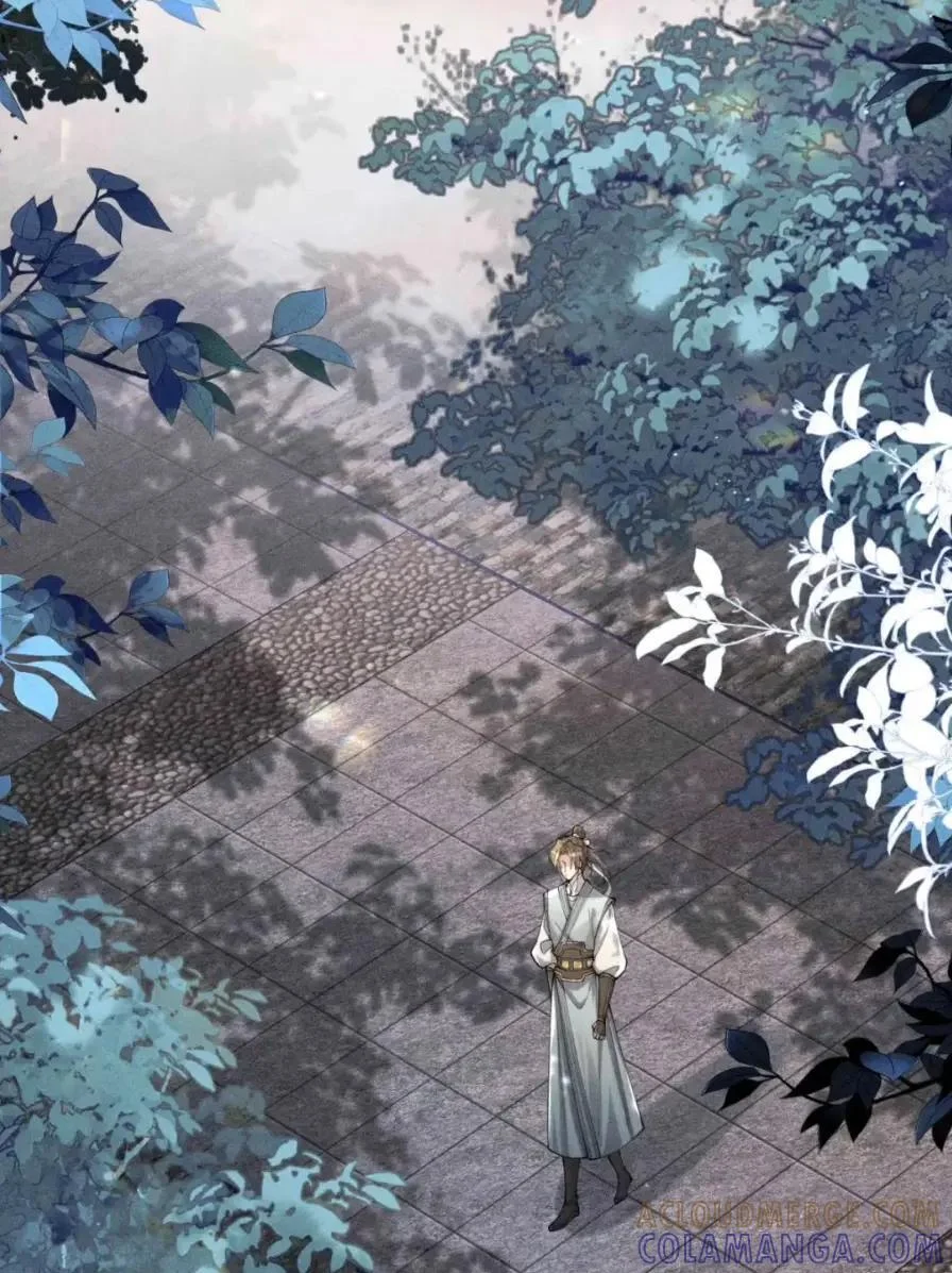 第216页