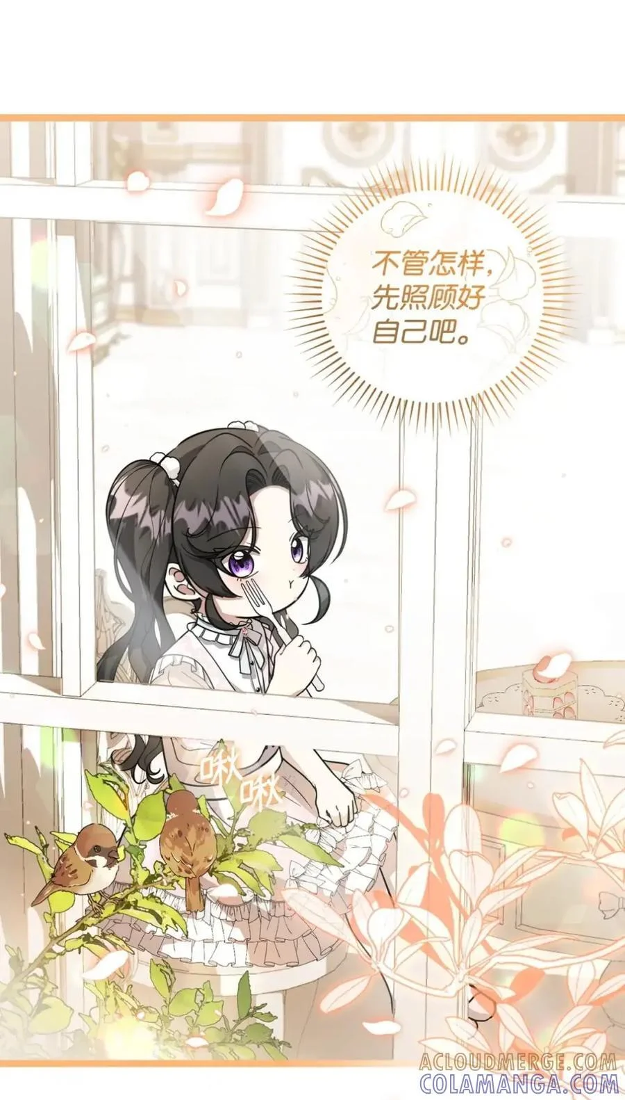 第216页