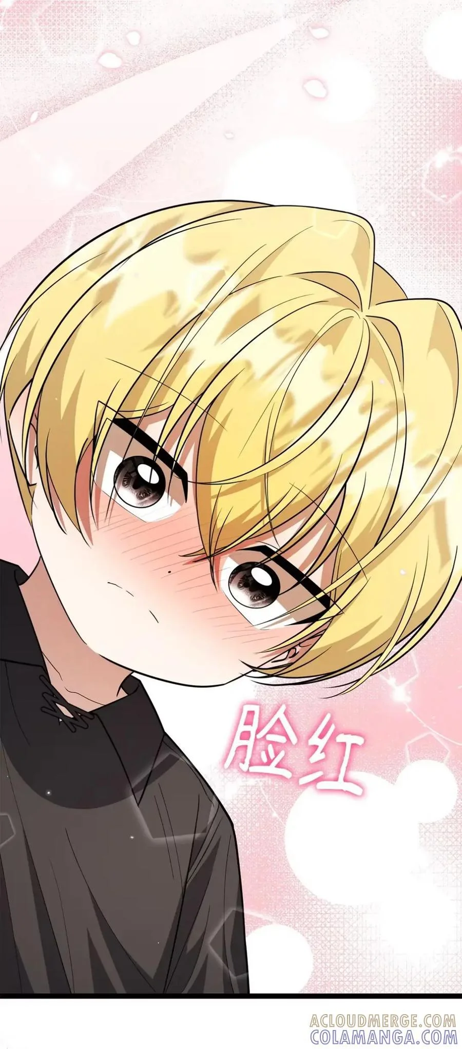 第216页
