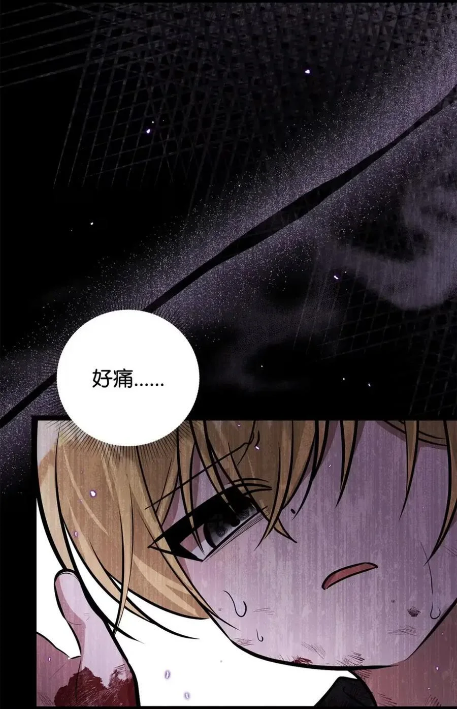 第255页