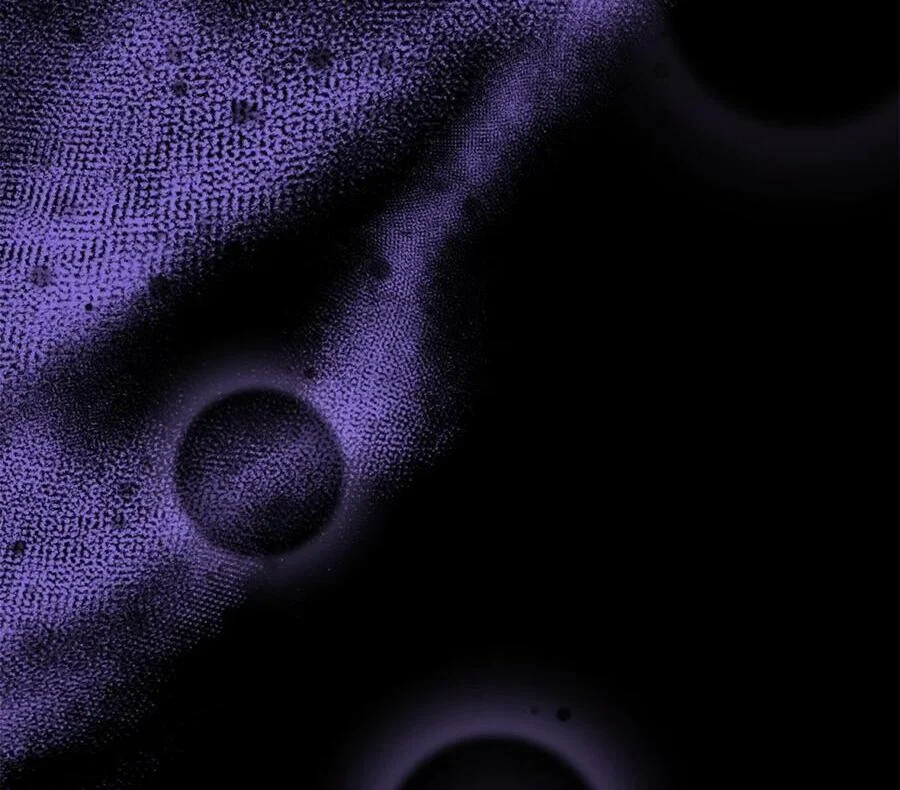 第600页