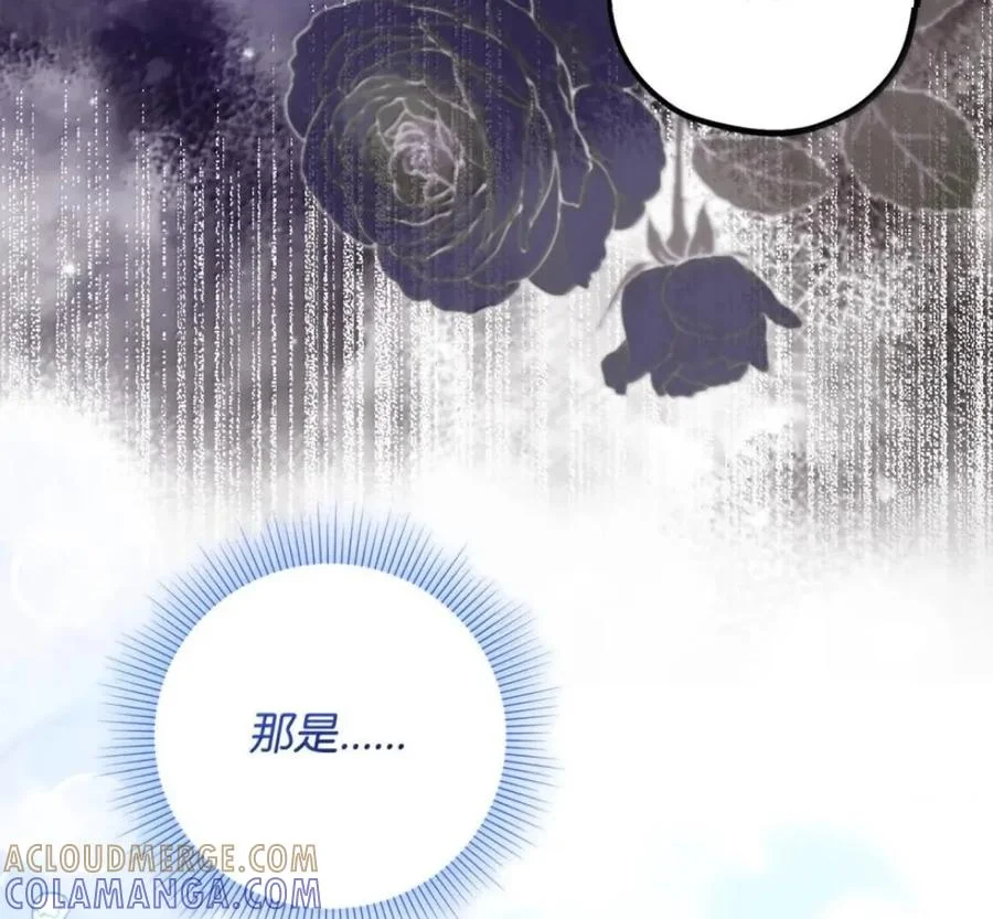 第564页
