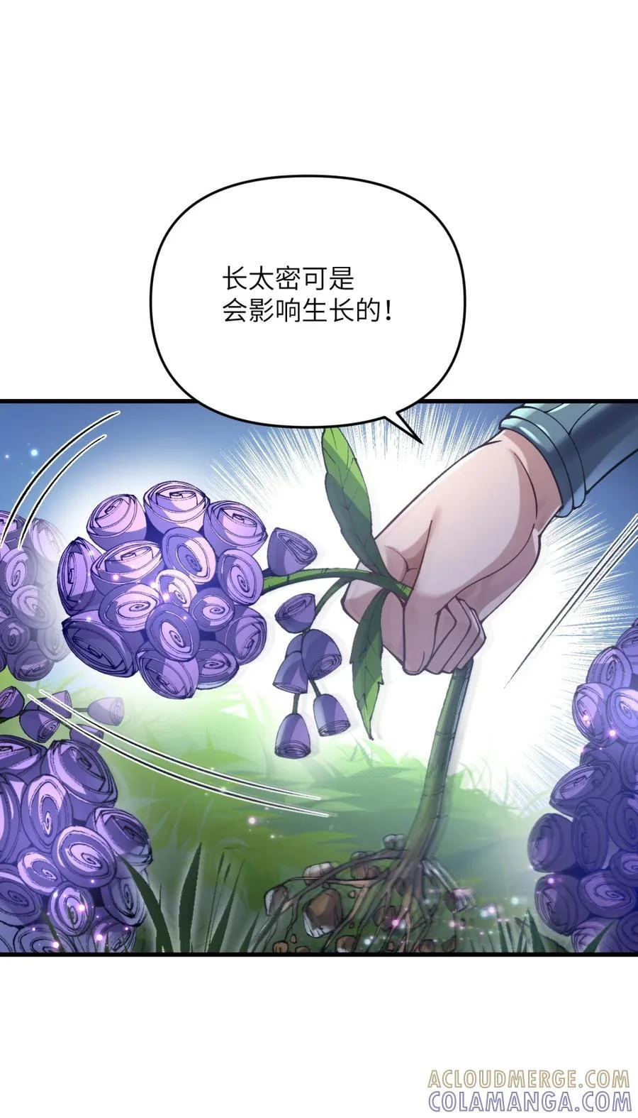 第252页